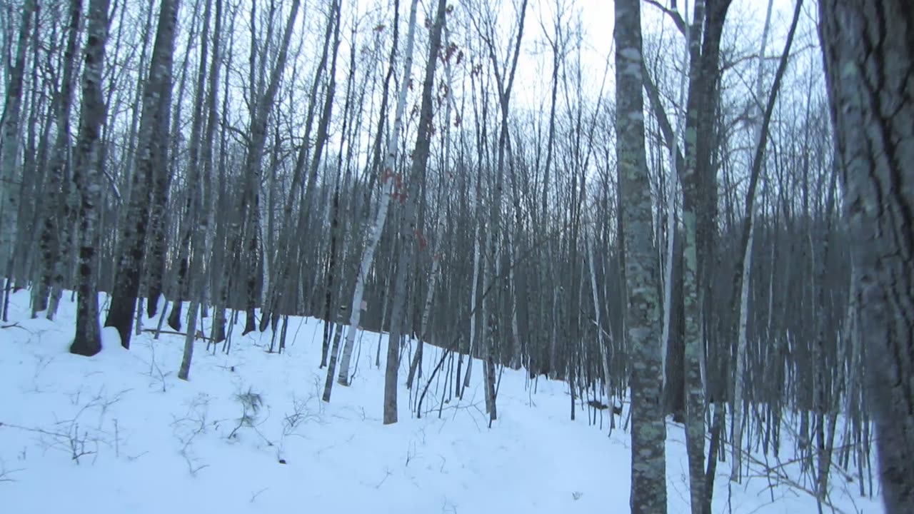 I call the dysfunction in world governments "worldwide governmental psychopathy spiral disorder"