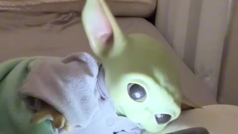 Dan ganas de bailar 💃 🕺#humor #babyyoda #baile #fyp #noche