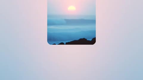 Riptide Reverie