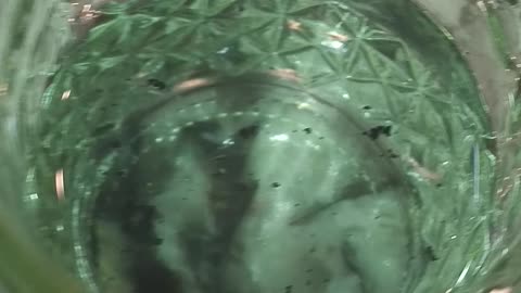Carbon fines in RO product water, concerned customer, technician on the fix.