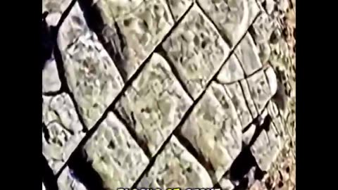 A guy found a Geometric Labyrinth on Google Earth