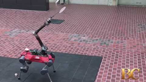 Four-legged robot plays badminton with humans