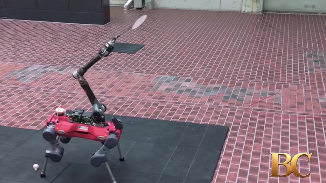 Four-legged robot plays badminton with humans