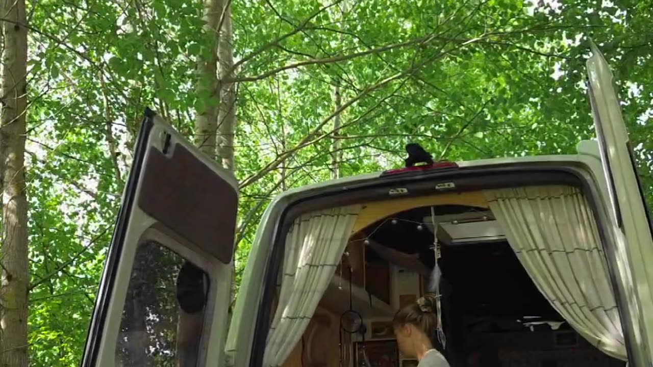 How I end up living in a van?
