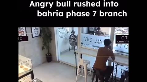 🤯 Woah, That bull must have been in Hurry | FunFM