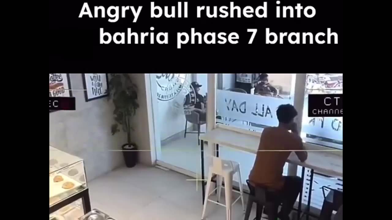 🤯 Woah, That bull must have been in Hurry | FunFM