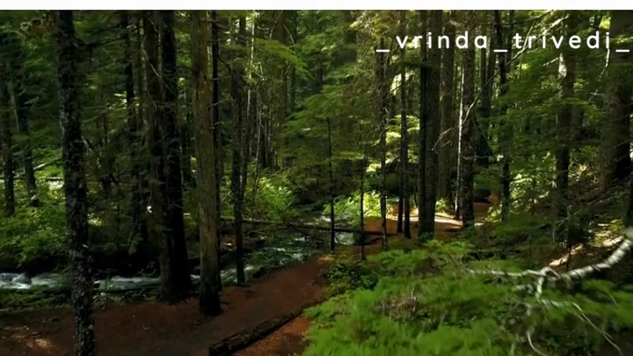 "Lose yourself in the woods, and find your soul....."