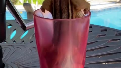 watch my videos with your beautiful eyes.💝💓💔❤️‍🩹😘😍💛