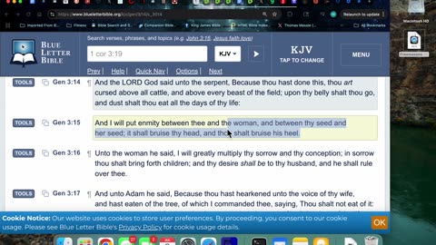7/4/25 Did the Freemasons (Tares) Usurp the European Kings (10 Tribes of Israel)? Pt3