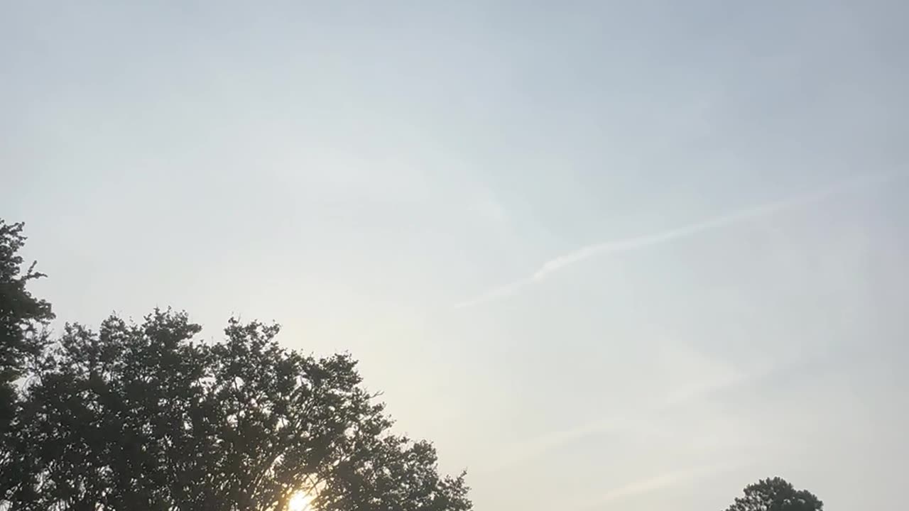 The Culling continues! America 🇺🇸 is being attacked!