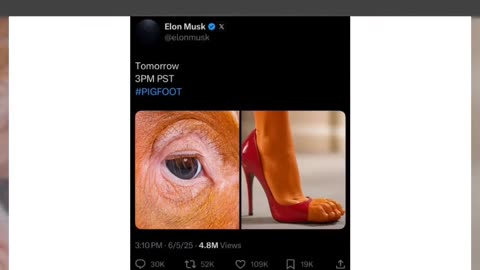 Fact Check: Elon Musk Did NOT Post 'Pigfoot' Message On X -- Fake Screenshot