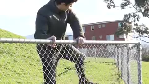 funny animal video