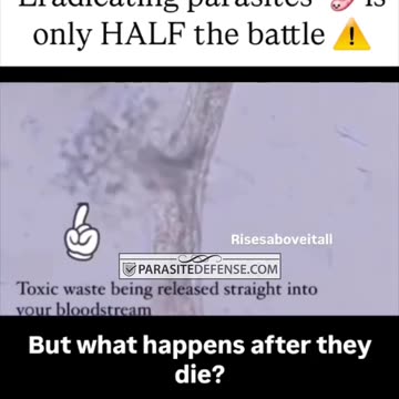 Why you need a Binder when using a Parasite Cleanse