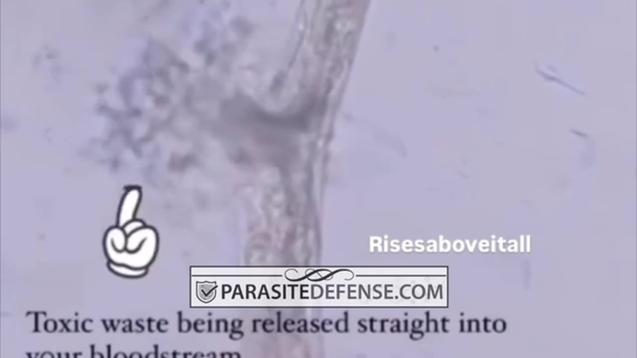 Why you need a Binder when using a Parasite Cleanse