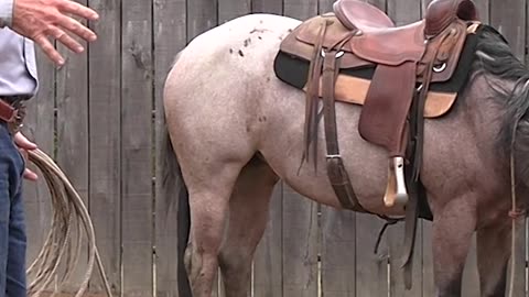 You can head off the wrecks now.