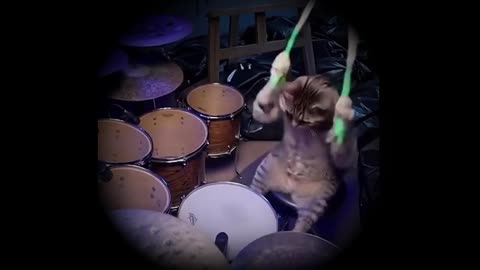 New Slinky Drummer in the Studio! ♫