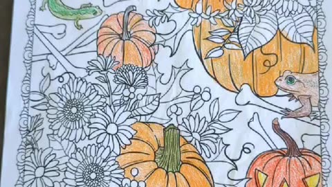 Fall Pumpkins and Flowers