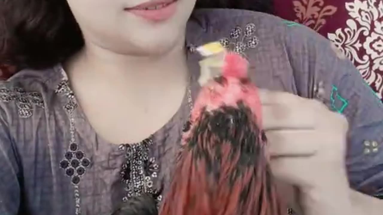 Beautiful girl with hen