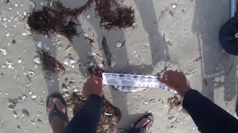 a pesca col vivo vicino uno dei canali per insidia1 ho usato anche i gamberi_part19