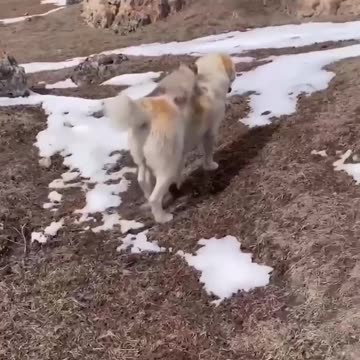 Awesome friendship 😊👍