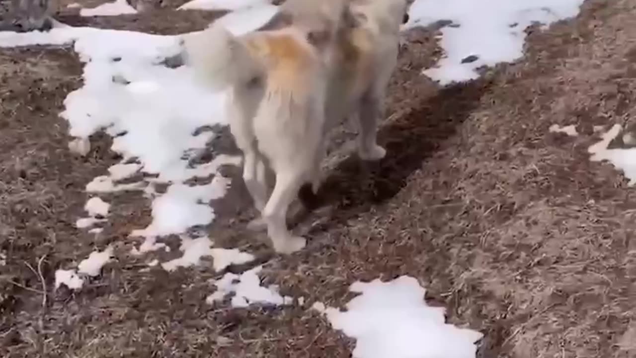 Awesome friendship 😊👍