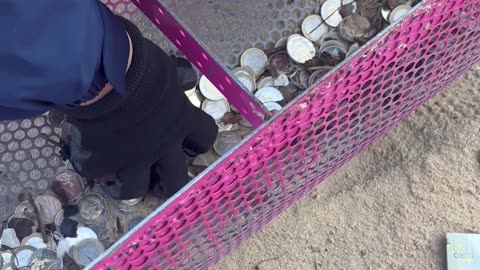 Profitable Beach Cleaning