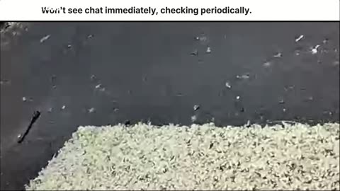 Installing carpet live on the internet