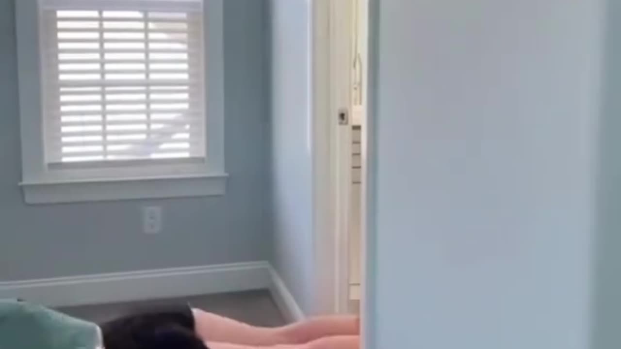 funny video