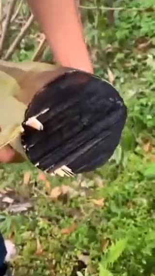 Chinese laser technology