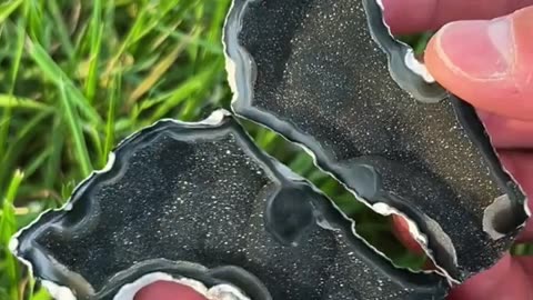 🤯✨ You Won't Believe This Stunning Coral Geode Transformation! | FeedMyCuriosity