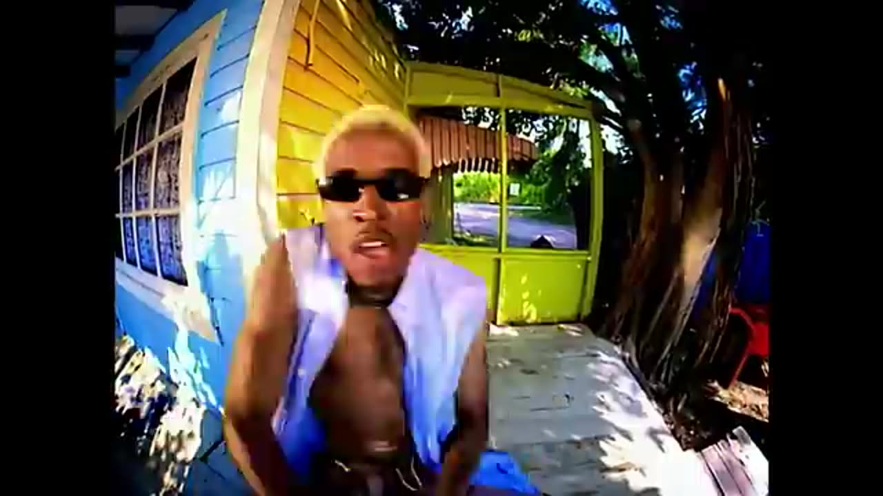 Baha Men - Who Let The Dogs Out (Official Video)