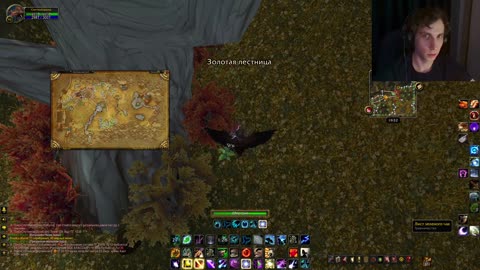 Колю руду щипаю травку на друиде WoW Classic