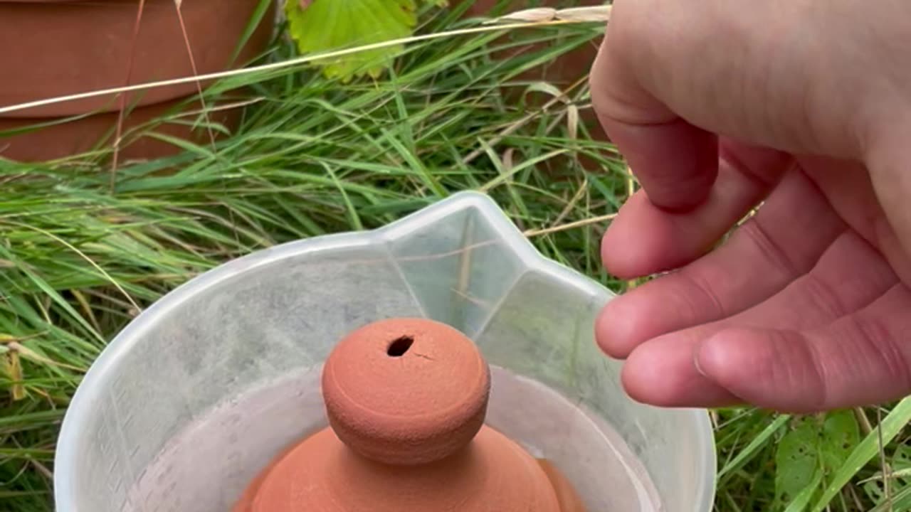 Thumb-Controlled Watering Pot