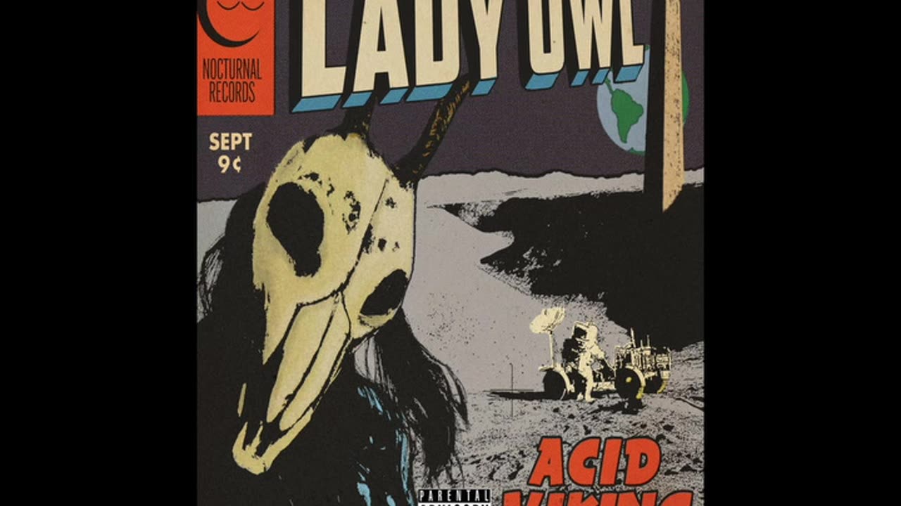 Lady Owl - Acid Viking