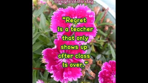 16 May 2025 Inspirational Quote
