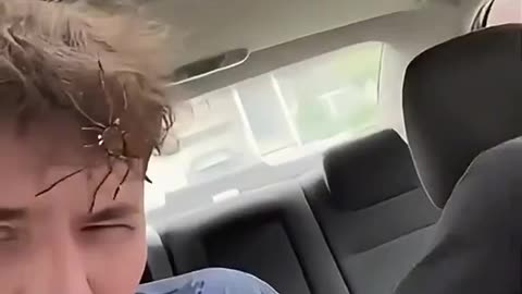 be sure to laugh today and starve an archon!!! 🤣🤣🤣🤣🤣🤣