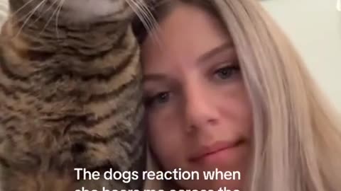 😂🦊 You Won't Believe This Adorable Rescue! | FunFM