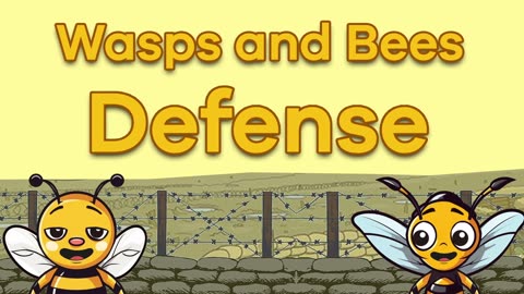 Bees and Wasps for Kids Learn all about these interesting insects