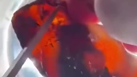 A man raises a shark egg in his house🦈💙