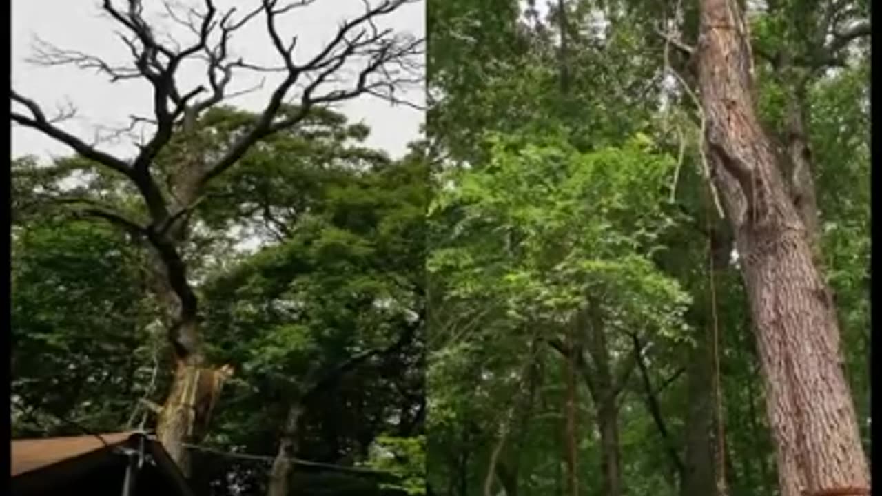 Harbor Freight 12K Winch - Highly recommended!