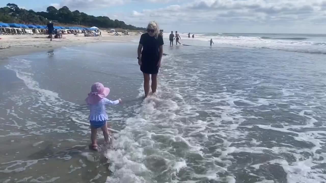 Beach bunny sighting