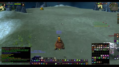 Turtle wow - Alt'lympic Games 2025 v2 -Warlock HC / S&S / Exhaustion-Episode 46-Desolace -final part