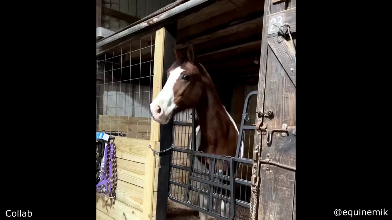 He Thought It Was Safe to Jump