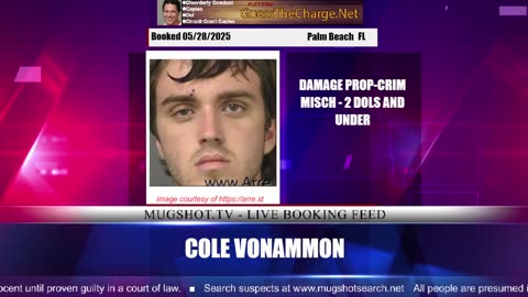 Mugshot TV - Live Arrest Booking Video Stream