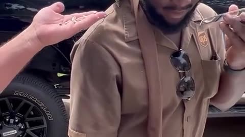 😂🤣 Bird Distribution System | FunFM