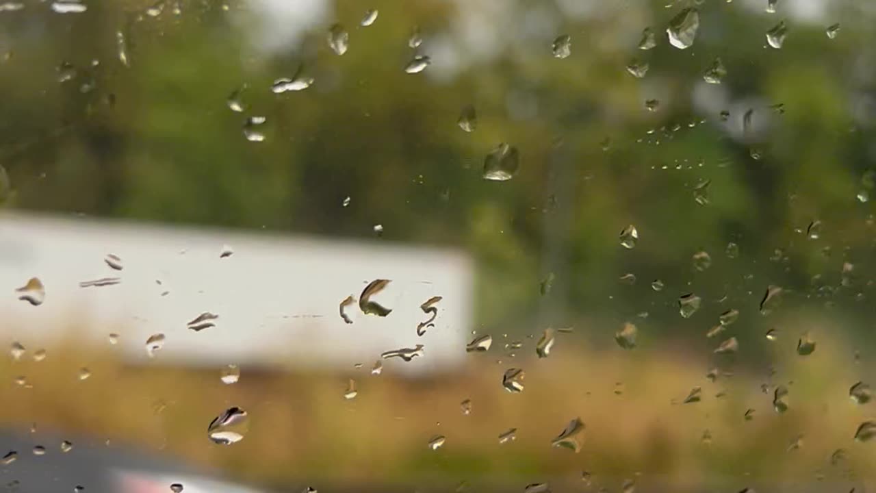 Rain Rain Rain