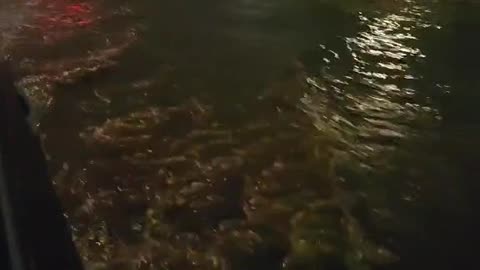 Flooded road in Kitchener this evening