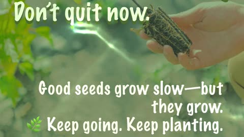 Keep going. Keep planting. Galatians 6:9 #Galatians69 #KeepSowing #faiththatworks