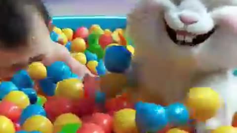Cute Baby and Bunny Hear Fart & Burst Out Laughing!