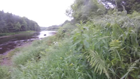 Metal detecting the Piscataquis river, Maine June 10th to 18th, 2025
